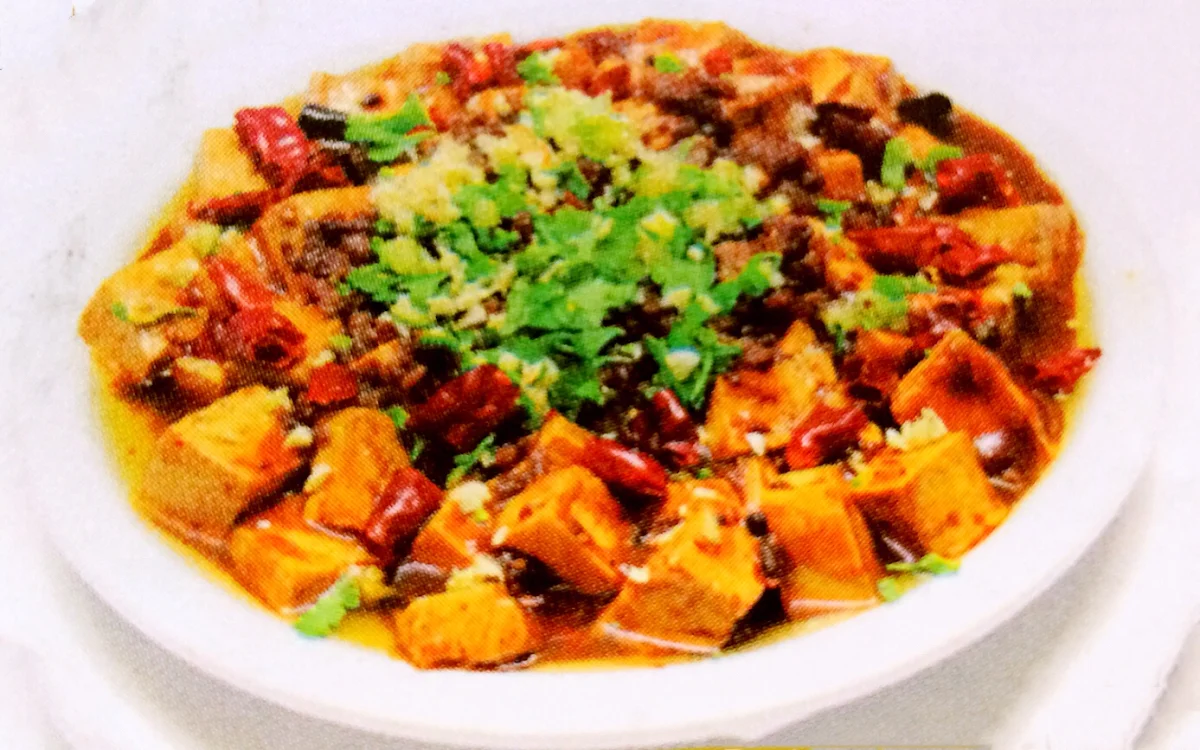 Tofu Épicé À la Mapo Mapo Tofu 麻婆豆腐